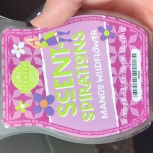 Mango wildflower scentsy bar